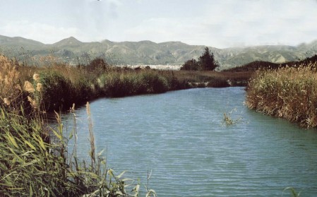 Pego, Wasserlauf Ein kleiner Wasserlauf im La Marjal